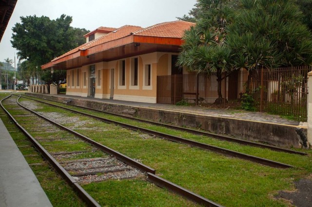 História de recuperação da Mata Atlântica é contada em novo livro