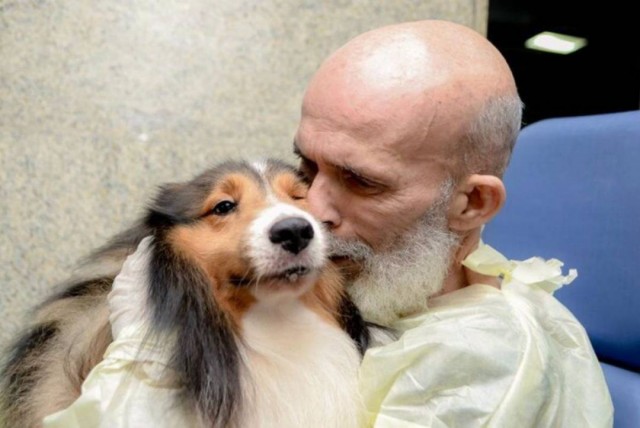Cães são capazes de detectar doenças apenas pelo cheiro do corpo humano