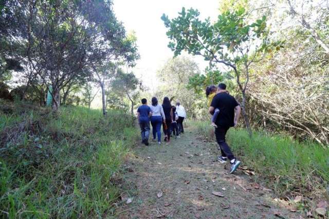 Confira as atrações gratuitas do 'Viver o Viveiro' deste domingo (9)