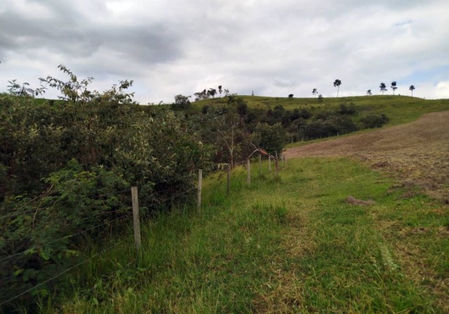 Jacareí celebra dois prêmios de Gestão Responsável na área de meio ambiente