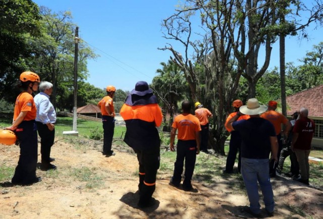 Agentes da Defesa Civil recebem capacitação com motosserra e roçadeira