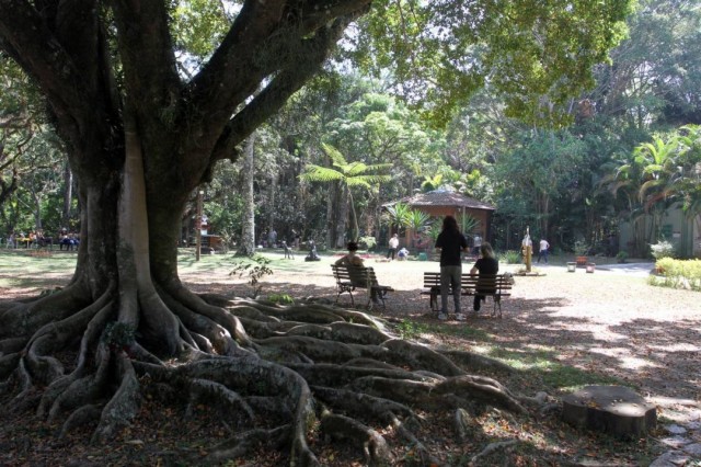 Último evento do ano tem oficina para enfeites natalinos ecológicos
