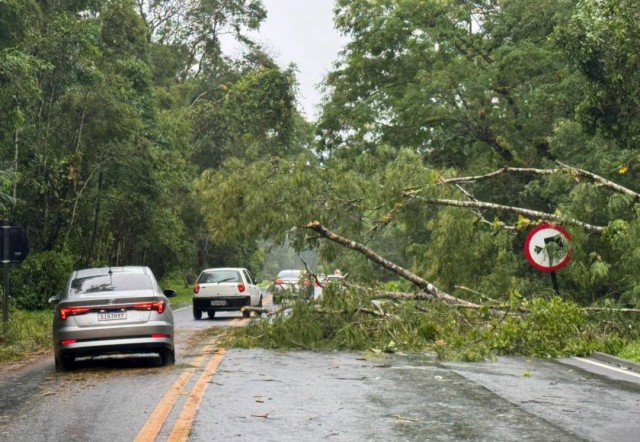 Grande volume de chuvas interdita Serra Mogi-Bertioga; veja situação no litoral