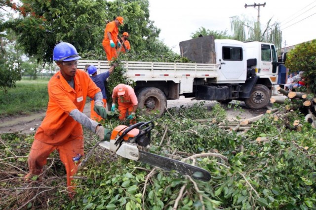 'Manual' orienta sobre poda de árvores​ em áreas pública e particular de Jacareí