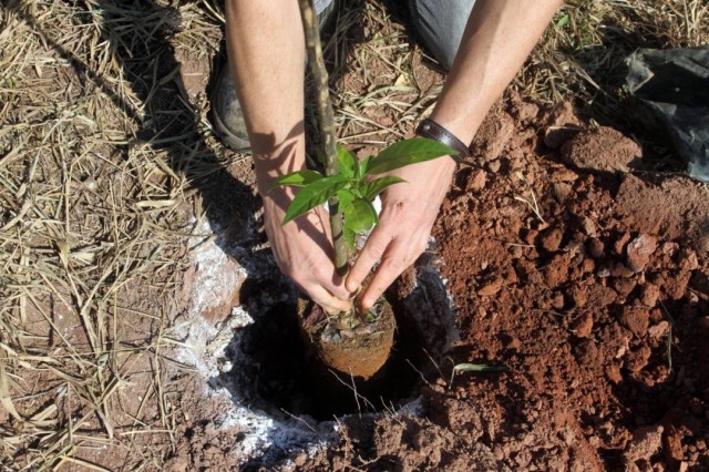 Jacareí terá Semana da Educação Ambiental com programação até o dia 30
