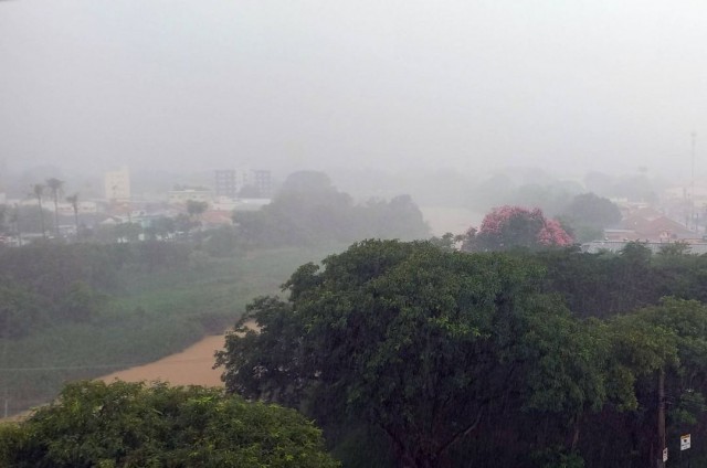 Chuva provoca queda de árvores na zona rural e alagamentos na região central