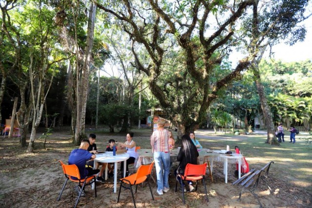 No embalo do Carnaval, Viveiro oferece oficina de 'purpurina ecológica'