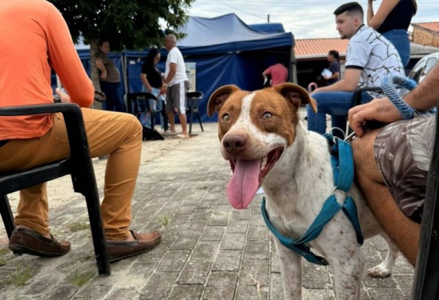 Ação no bairro 22 de Abril elevou procedimentos a 1,4 mil em 2026