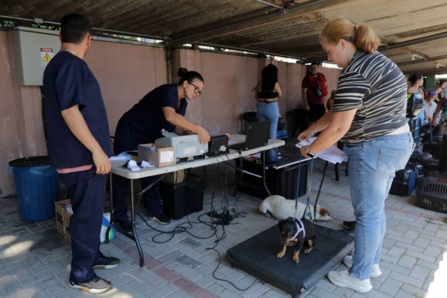 Pagador Andrade recebe plantão de cadastros para castração de cães e gatos