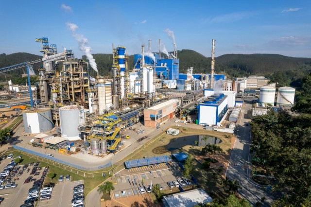Suzano vende 12,7 milhões de toneladas de celulose pela primeira vez na história