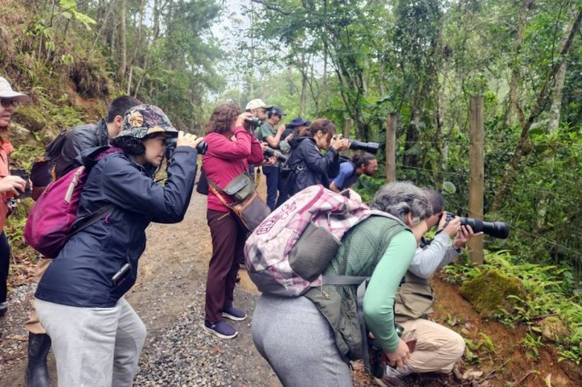 Festival reúne observadores de aves em São Francisco Xavier, em São José