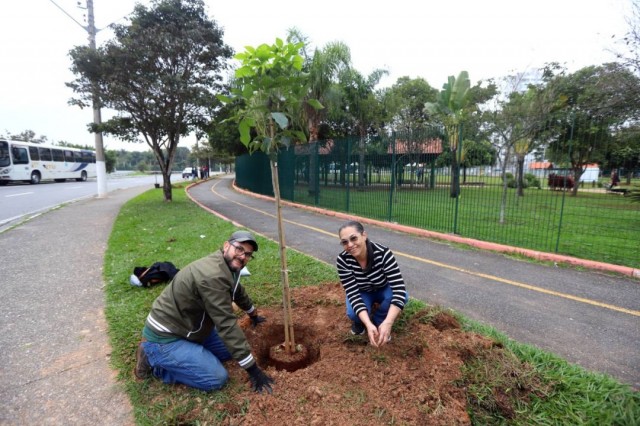 Programação do mês é encerrada com plantio de árvores no Parque da Cidade