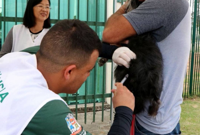 Vacinação de pets cresce no país e reforça combate a zoonoses fatais