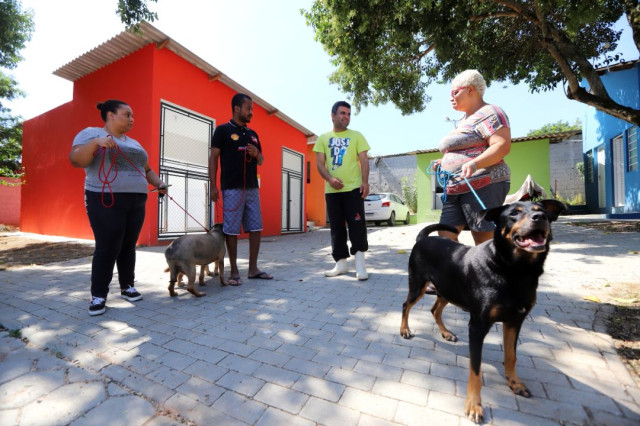 Jacareí promove inscrições para formar primeiro Conselho de Bem-Estar Animal