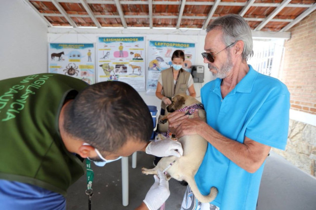 Jacareí tem vacinação antirrábica para cães e gatos em três datas de agosto