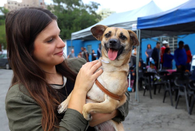 Jacareí promove inscrições para Conselho de Bem-Estar Animal