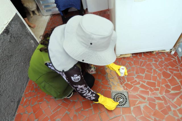Jacareí reduz índice de larvas, mas Aedes ainda é encontrado em casas