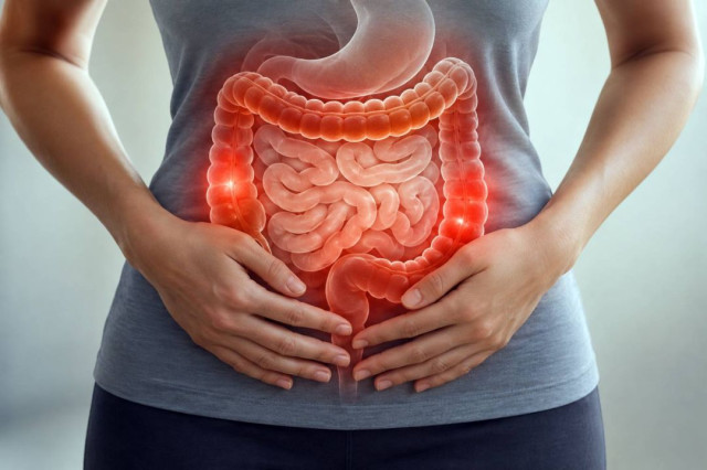 Em 13 anos, doença inflamatória intestinal cresce 5 vezes no Brasil
