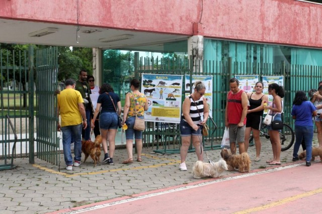 Meia-Lua recebe vacinação antirrábica para cães e gatos, neste sábado (2)
