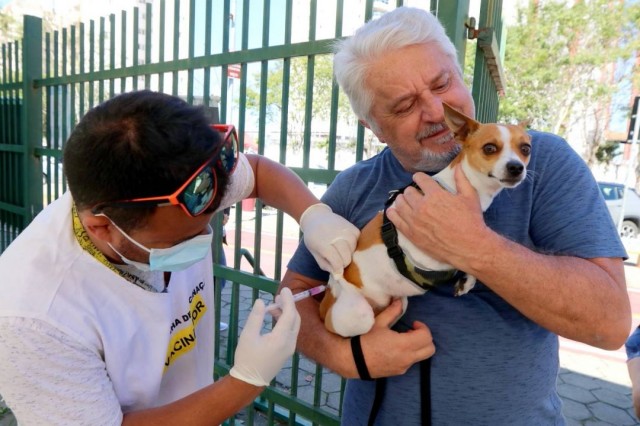 Esperança e Parque da Cidade recebem vacinação antirrábica para cães e gatos