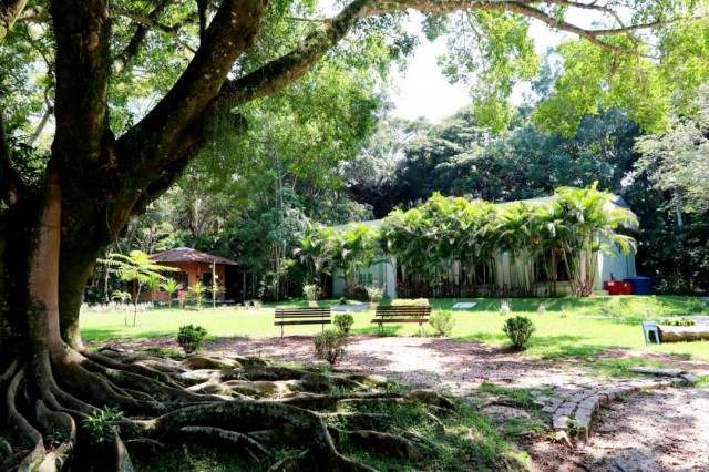 Prefeitura estabelece regras para uso do Viveiro em eventos particulares